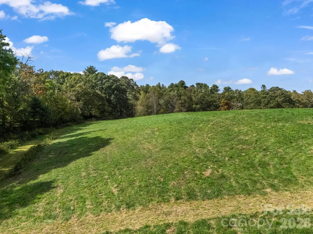 126 & 128 Cook Lane Mills River NC 28759