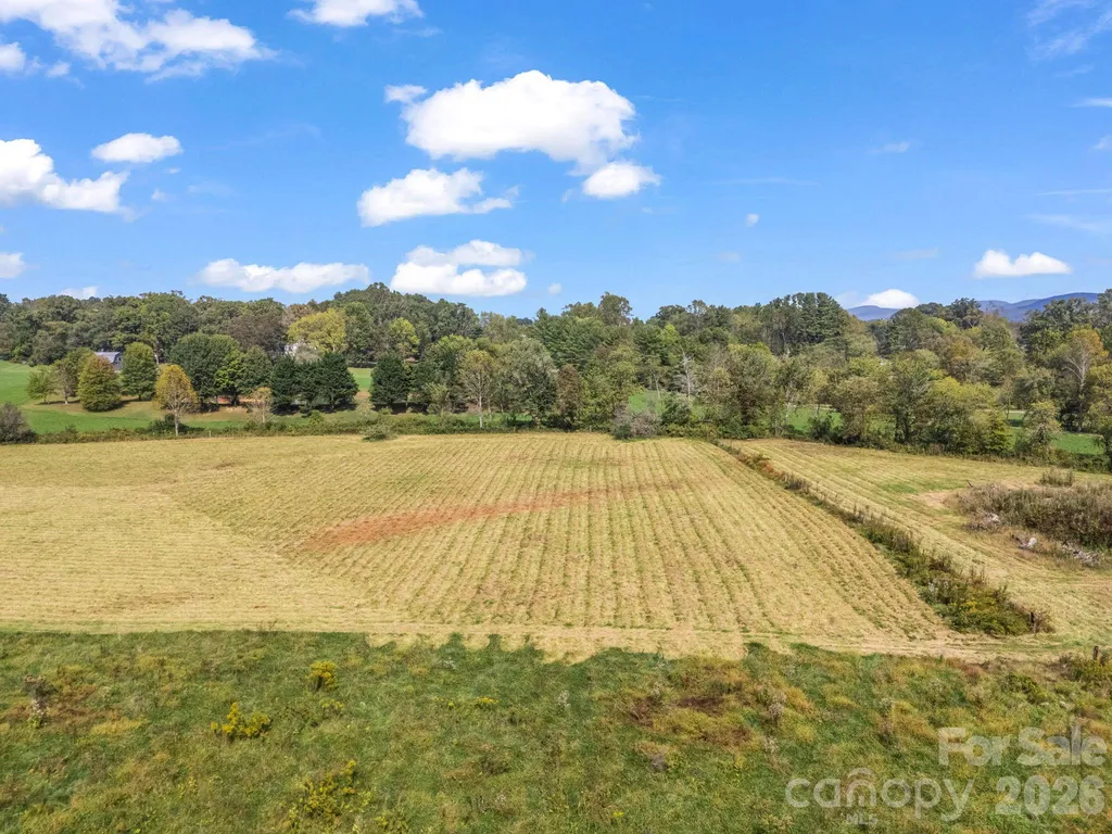 126 & 128 Cook Lane Mills River NC 28759