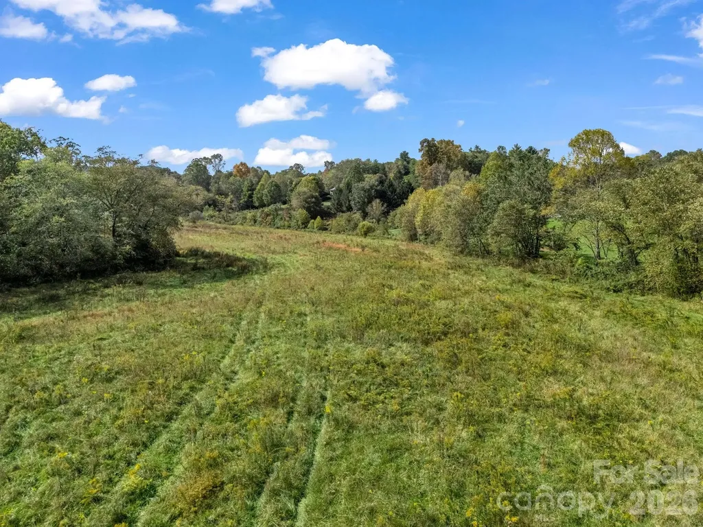 126 & 128 Cook Lane Mills River NC 28759