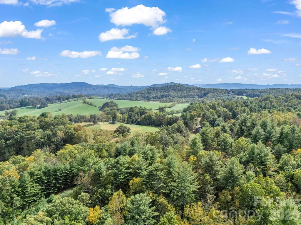 126 & 128 Cook Lane Mills River NC 28759