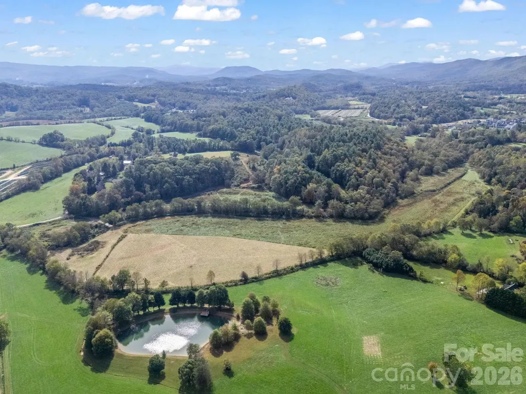 126 & 128 Cook Lane Mills River NC 28759