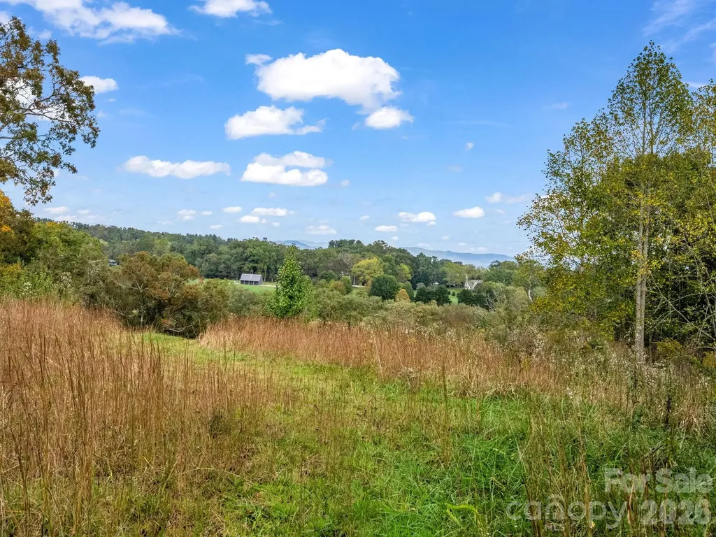 126 & 128 Cook Lane Mills River NC 28759