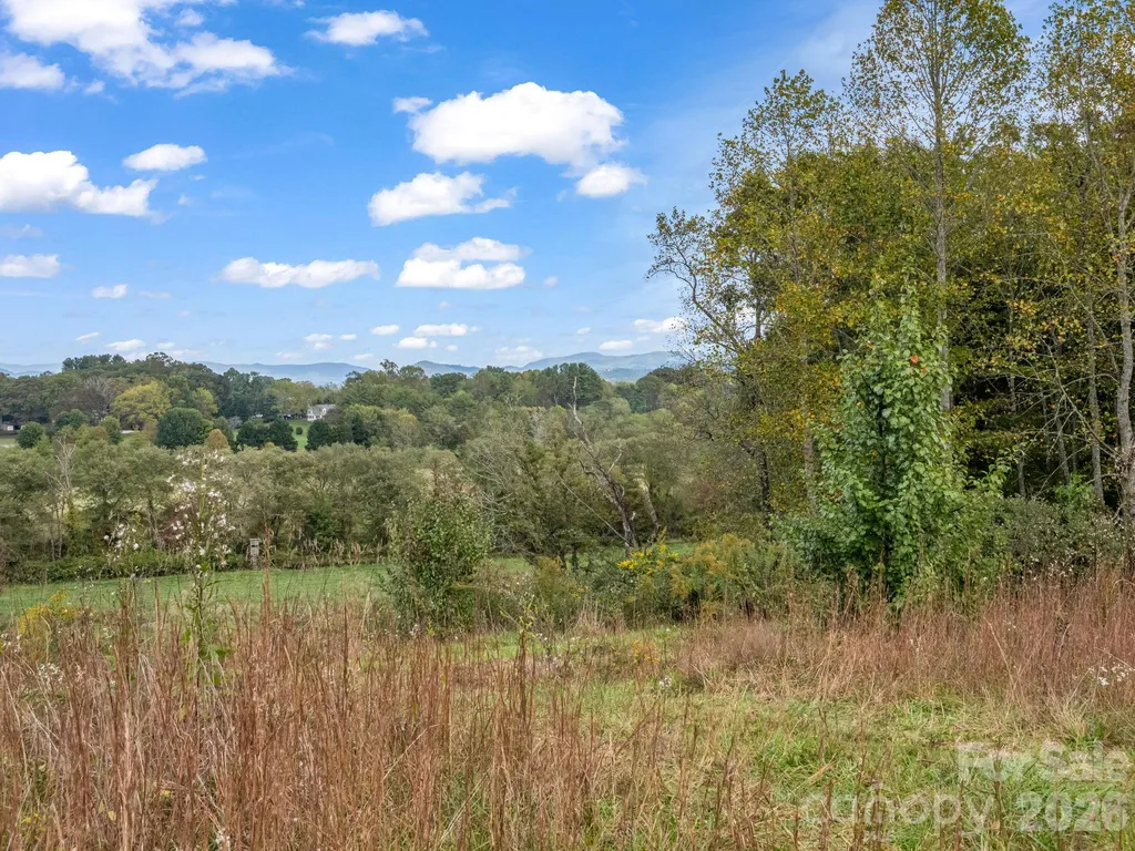 126 & 128 Cook Lane Mills River NC 28759
