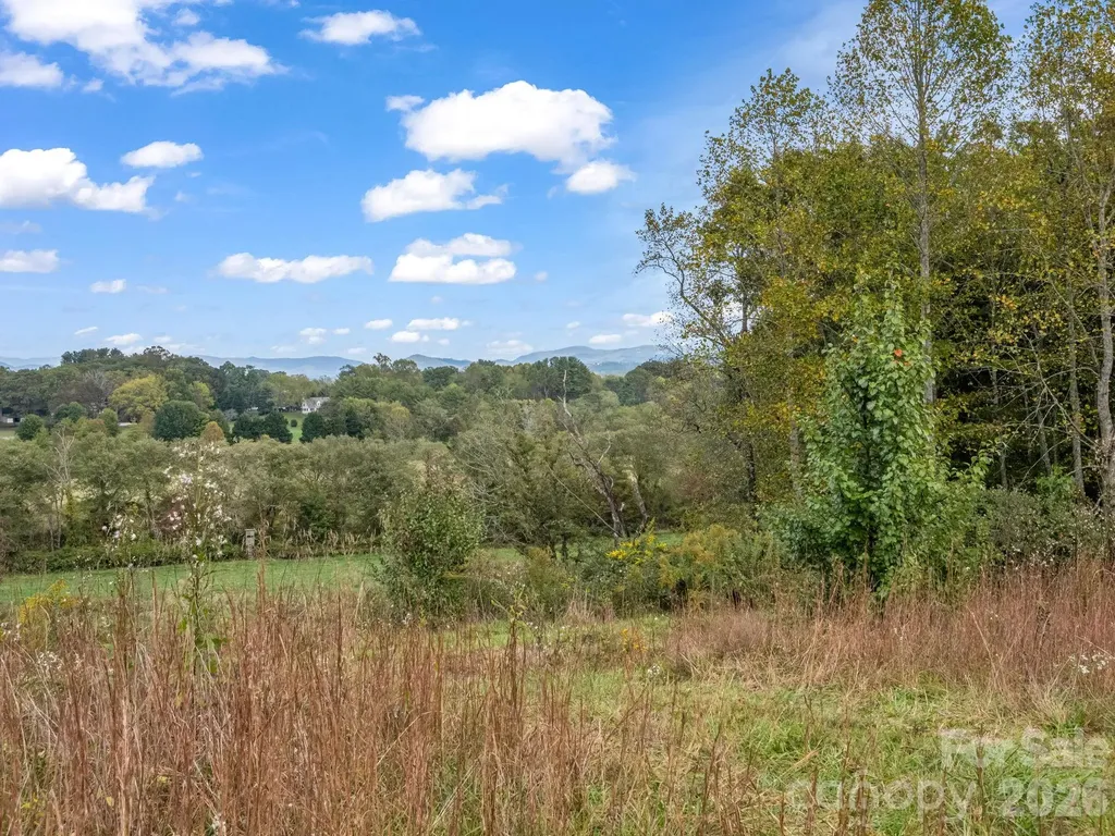 126 & 128 Cook Lane Mills River NC 28759