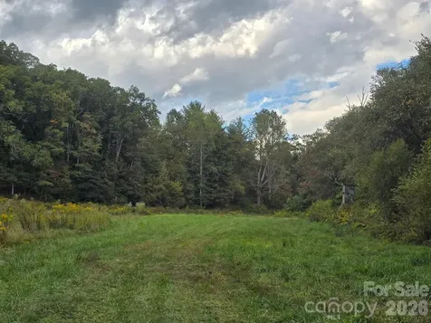126 & 128 Cook Lane Mills River NC 28759