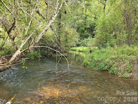 126 & 128 Cook Lane Mills River NC 28759