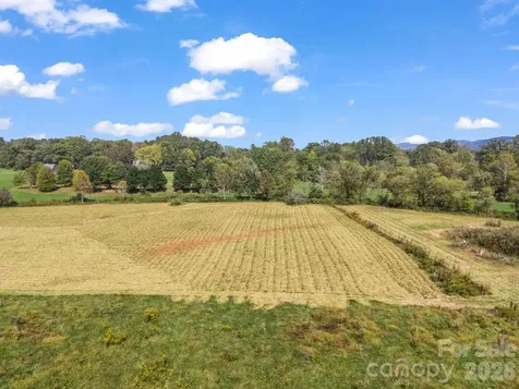 126 & 128 Cook Lane Mills River NC 28759