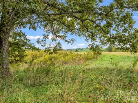 126 & 128 Cook Lane Mills River NC 28759