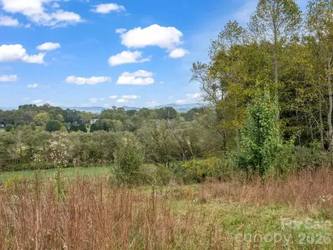 126 & 128 Cook Lane Mills River NC 28759