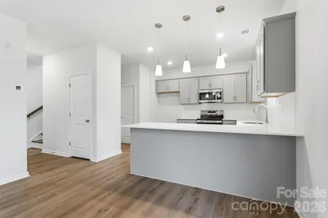 1641 Piper Creek Avenue Newton NC 28658