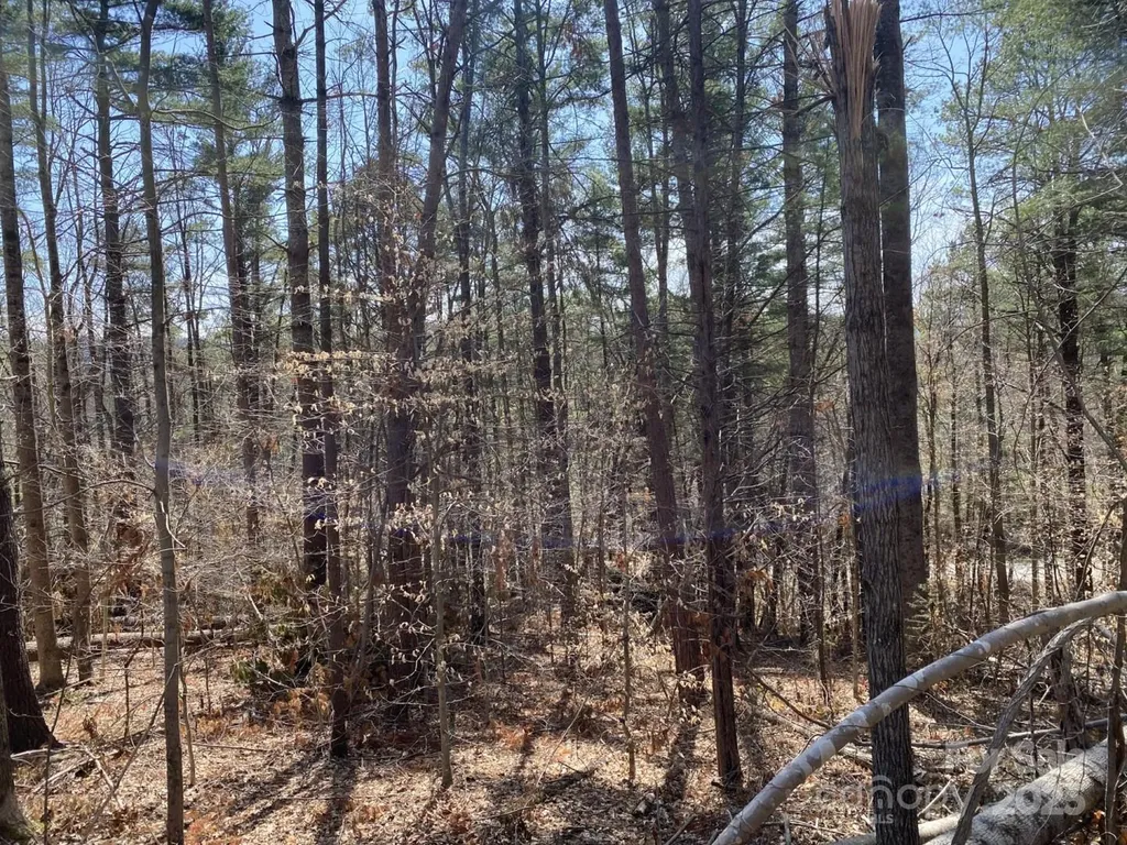 1 Pink Fox Cove Road Weaverville NC 28787