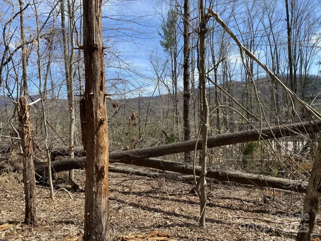 1 Pink Fox Cove Road Weaverville NC 28787