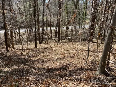 1 Pink Fox Cove Road Weaverville NC 28787