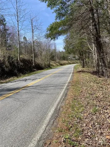 1 Pink Fox Cove Road Weaverville NC 28787