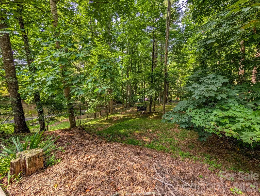 1372 Lickskillet Road Burnsville NC 28714