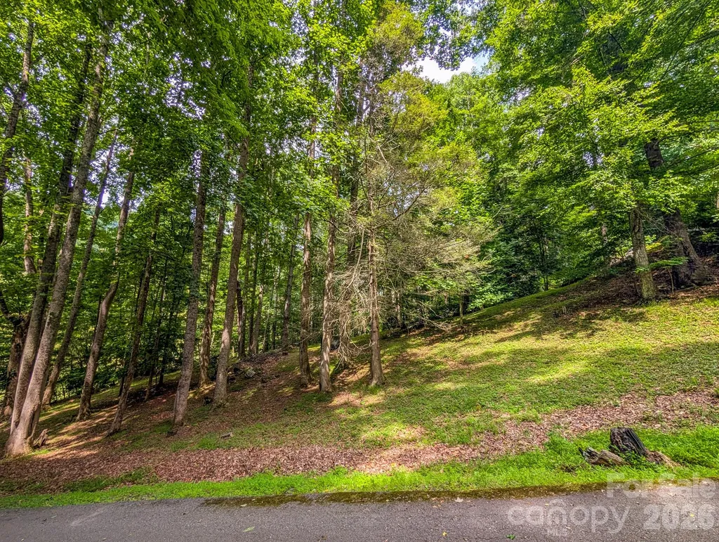 1372 Lickskillet Road Burnsville NC 28714