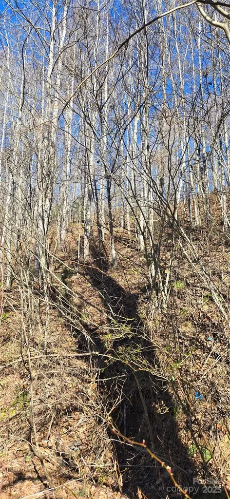 Lot 1 Turtle Rock Lane Waynesville NC 28785