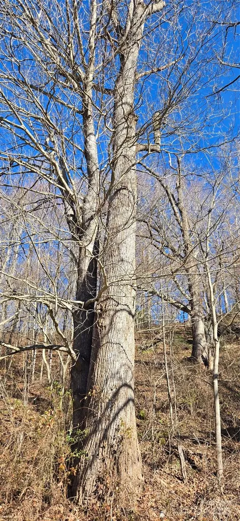 Lot 1 Turtle Rock Lane Waynesville NC 28785