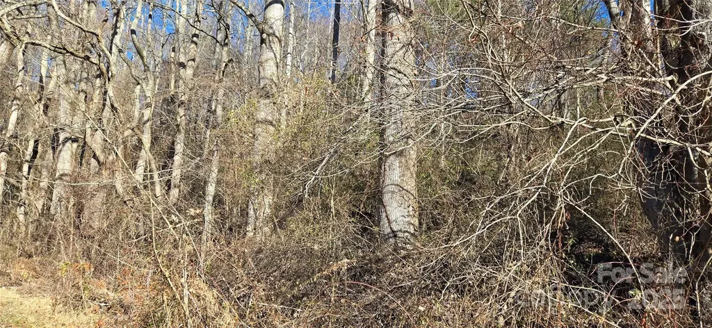 Lot 1 Turtle Rock Lane Waynesville NC 28785