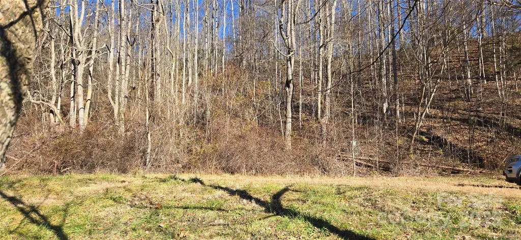 Lot 1 Turtle Rock Lane Waynesville NC 28785