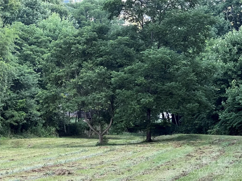 Lot 1 Turtle Rock Lane Waynesville NC 28785