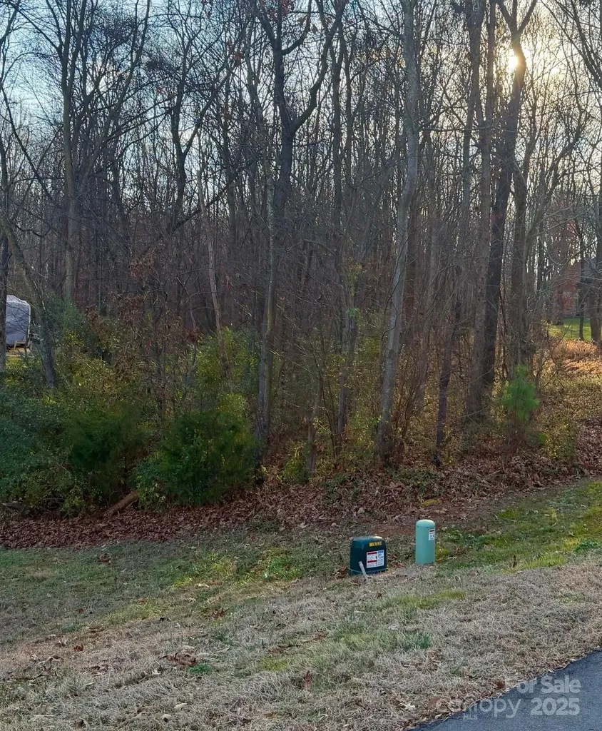 2010 Parrothead Drive Monroe NC 28110