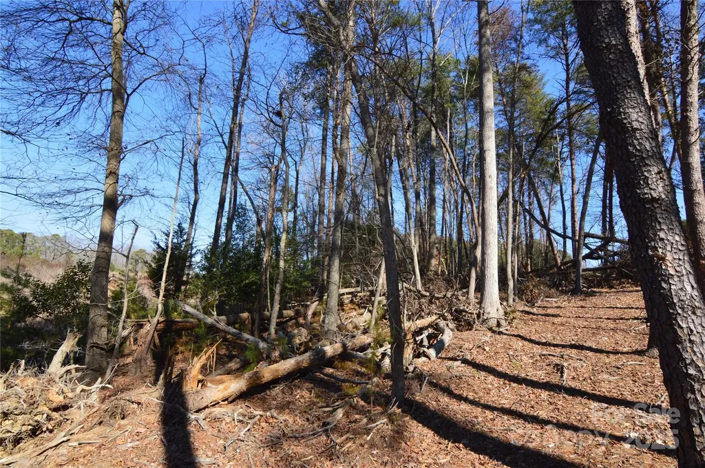 5040 Hermitage Court Belmont NC 28012