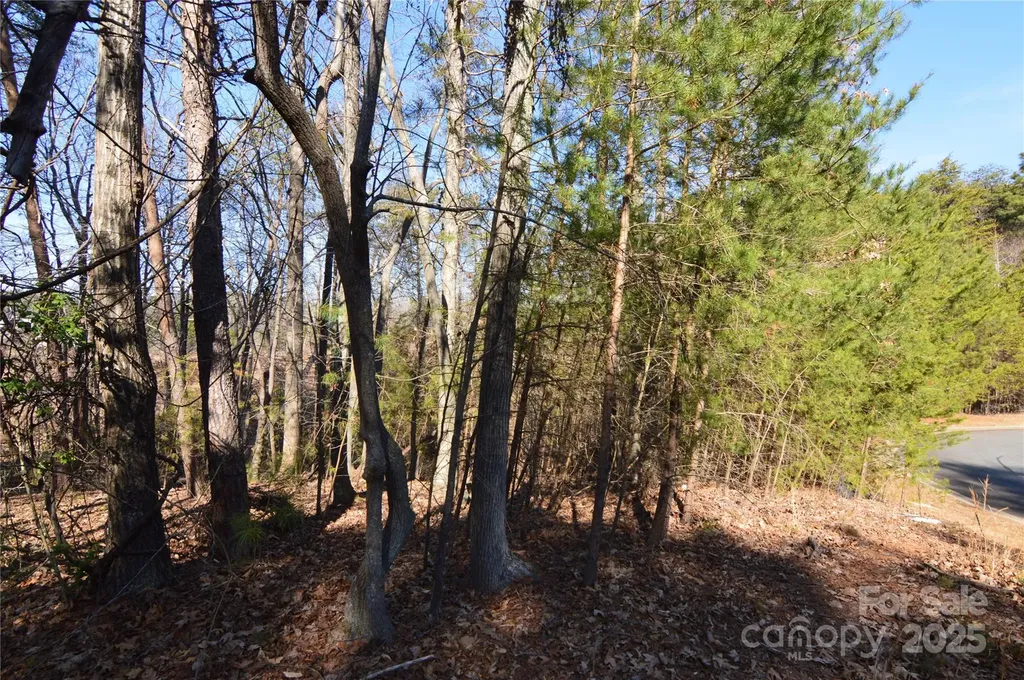 5040 Hermitage Court Belmont NC 28012