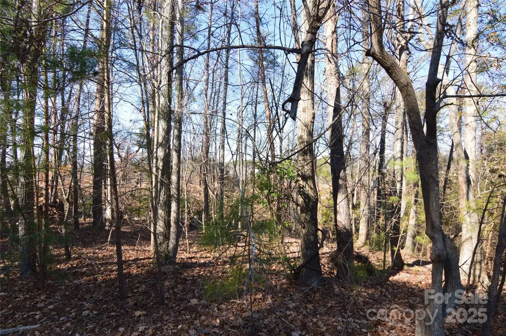 5040 Hermitage Court Belmont NC 28012