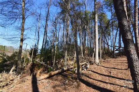 5040 Hermitage Court Belmont NC 28012