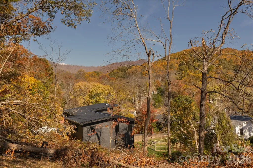 13 Bassett Road Asheville NC 28804
