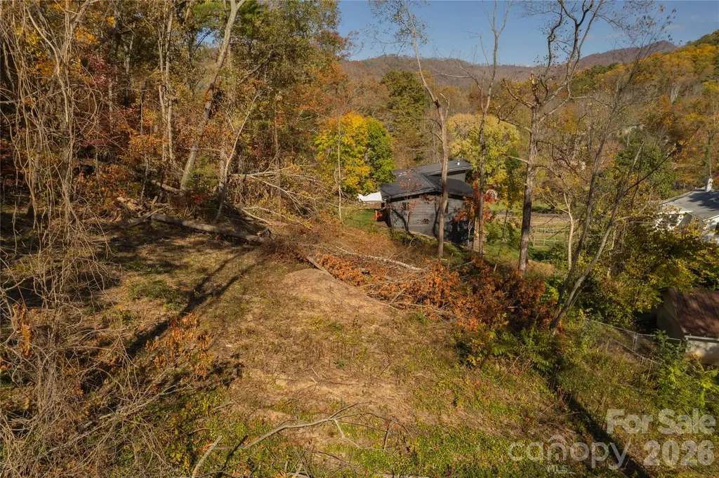 13 Bassett Road Asheville NC 28804