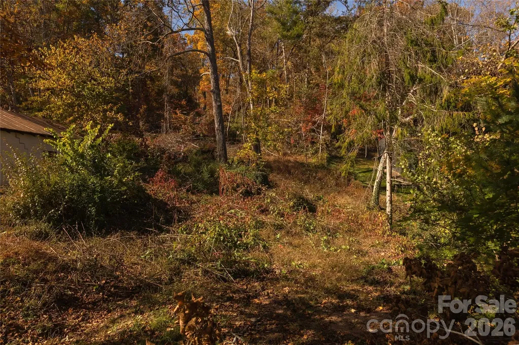 13 Bassett Road Asheville NC 28804