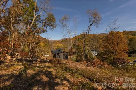 13 Bassett Road Asheville NC 28804
