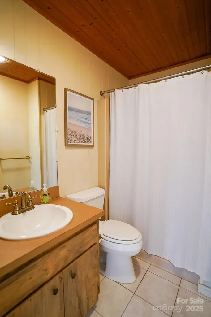 262 Rooster Cove Brevard NC 28712