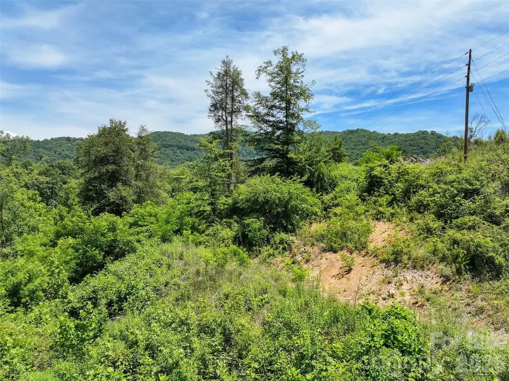 347 Richland Creek Road Clyde NC 28721