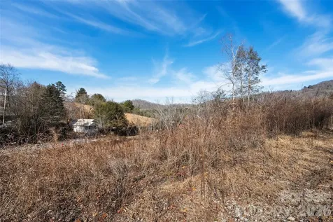 347 Richland Creek Road Clyde NC 28721