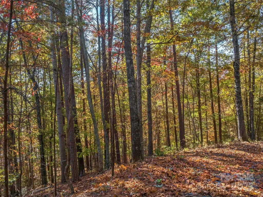 000 South Cove Road Mill Spring NC 28756
