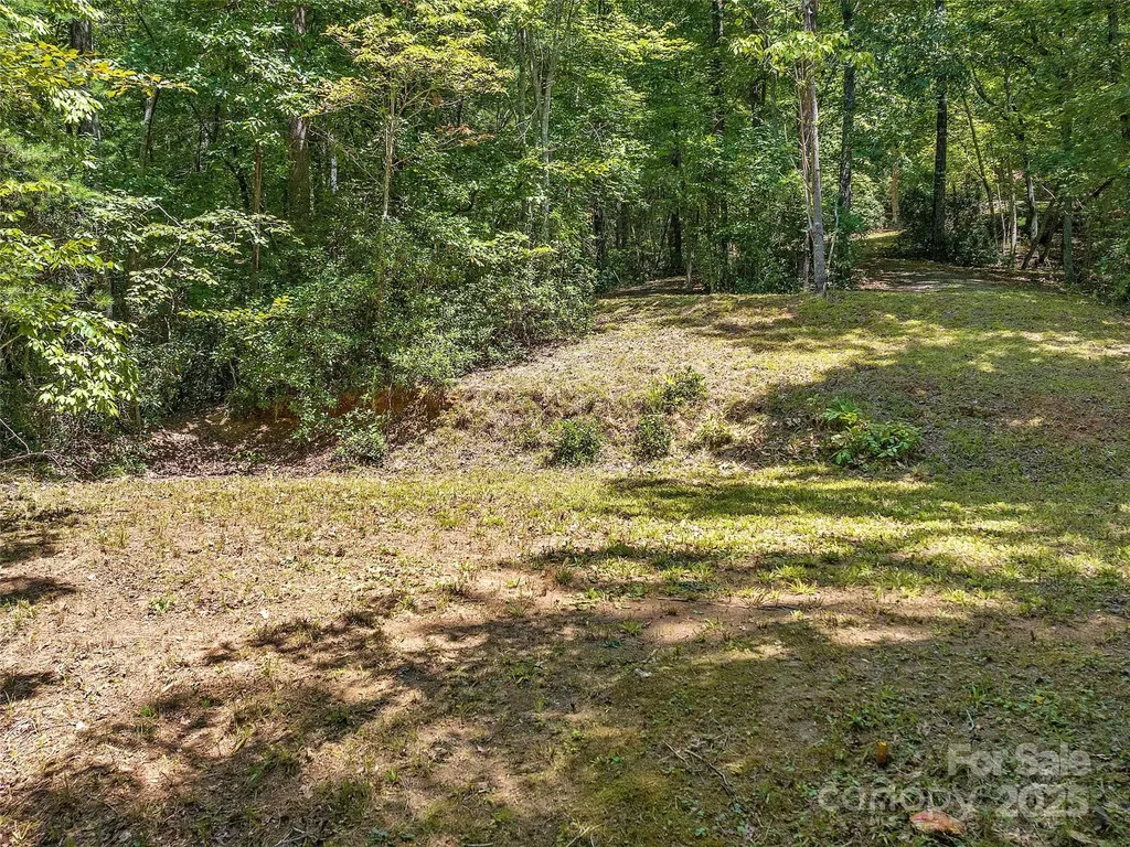 000 South Cove Road Mill Spring NC 28756