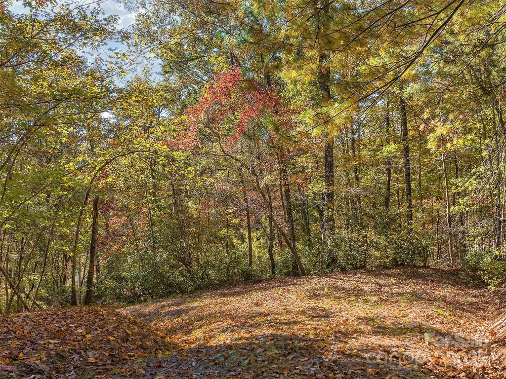 000 South Cove Road Mill Spring NC 28756