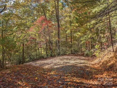 000 South Cove Road Mill Spring NC 28756