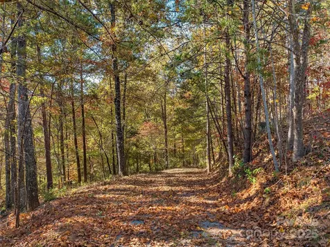 000 South Cove Road Mill Spring NC 28756