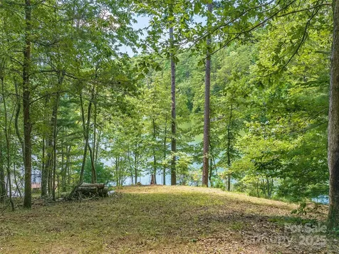 000 South Cove Road Mill Spring NC 28756