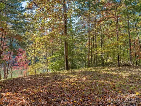 000 South Cove Road Mill Spring NC 28756