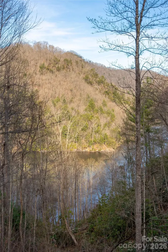 100 Saddle Notch Lane Tuckasegee NC 28783