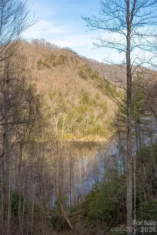 100 Saddle Notch Lane Tuckasegee NC 28783