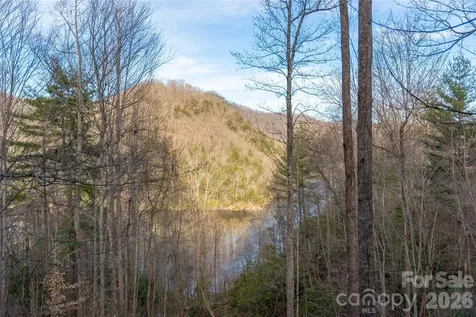 100 Saddle Notch Lane Tuckasegee NC 28783