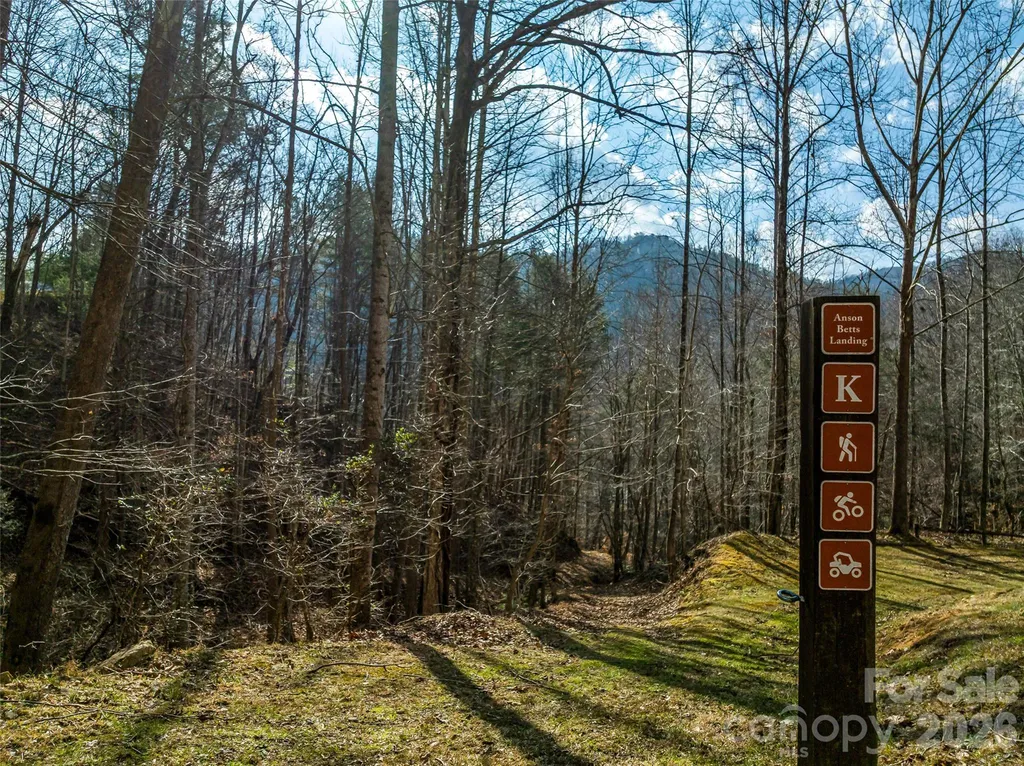 112 Moon Shadow Lane Marshall NC 28753