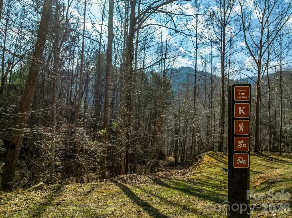 112 Moon Shadow Lane Marshall NC 28753
