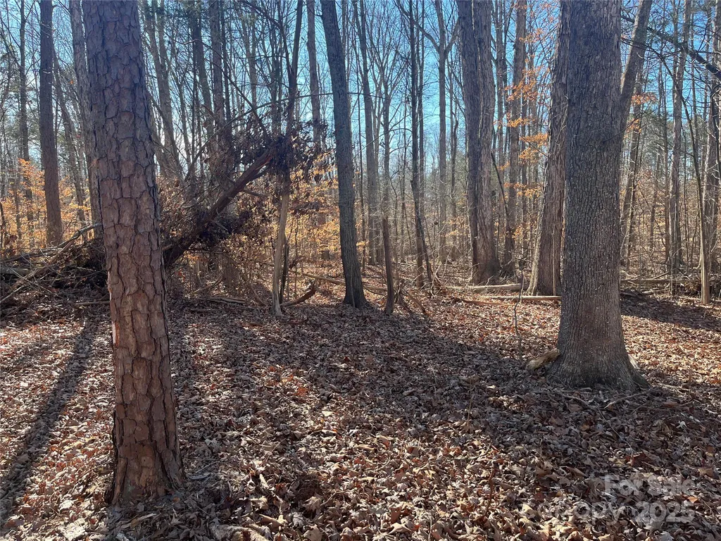 15.009 Acres Archer Road Davidson NC 28036